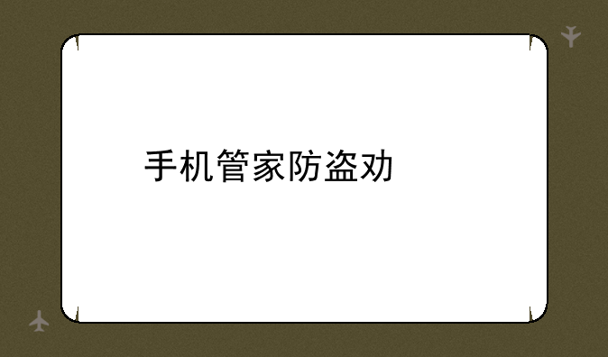 手机管家防盗功能