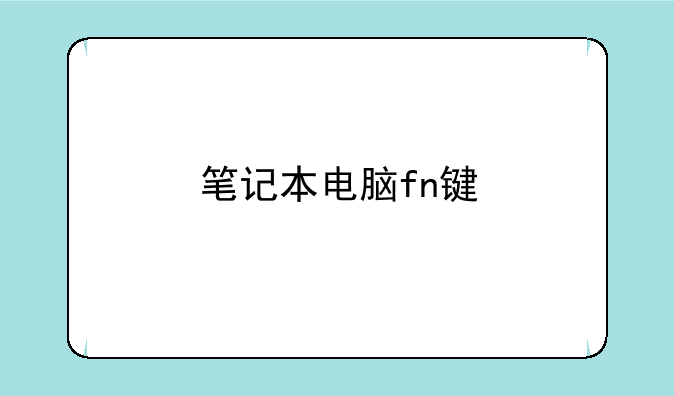 笔记本电脑fn键