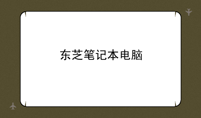 东芝笔记本电脑