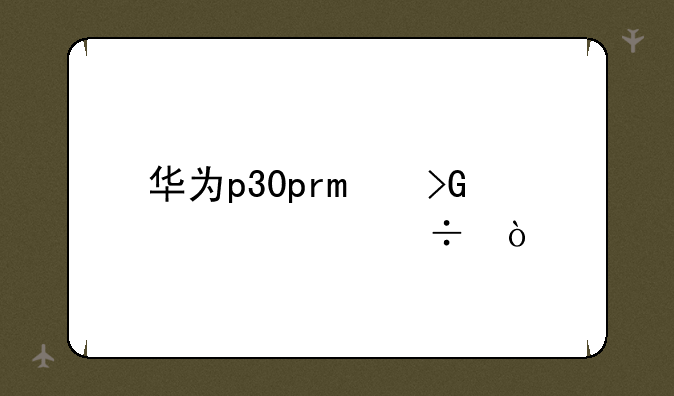华为p30pro发布年份？