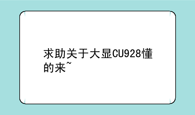 求助关于大显CU928懂的来