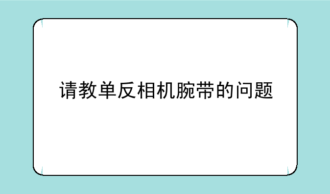请教单反相机腕带的问题
