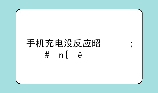 手机充电没反应是怎么回事