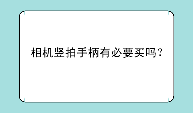 相机竖拍手柄有必要买吗