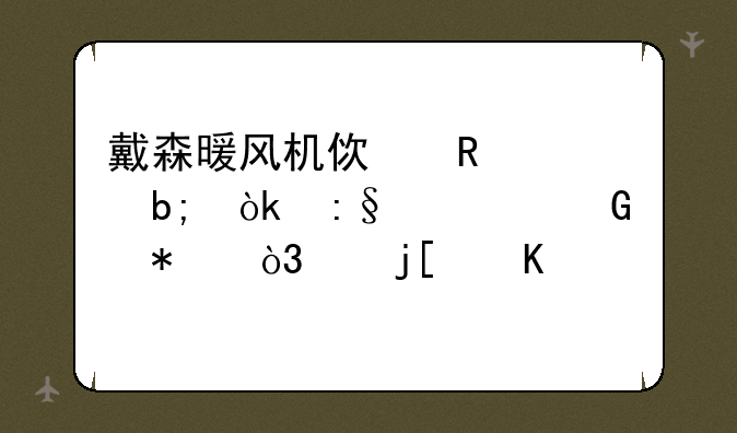戴森暖风机使用说明：玩转科技，温暖寒冬