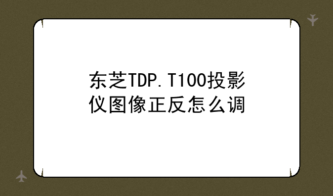东芝TDP.T100投影仪图像正反