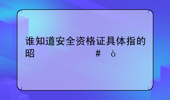 谁知道安全资格证具体指的是什么？