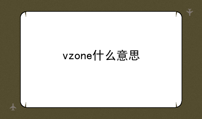 vzone什么意思