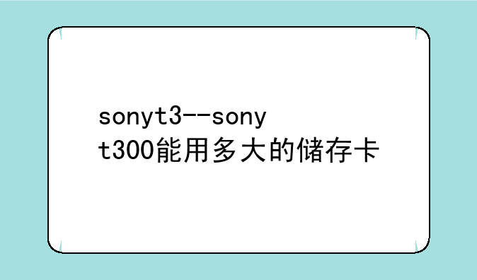 sonyt3--sonyt300能用多大的储