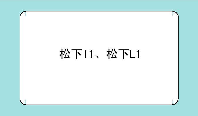 松下l1、松下L1