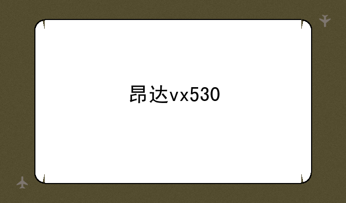 昂达vx530