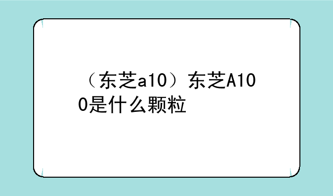 （东芝a10）东芝A100是什么