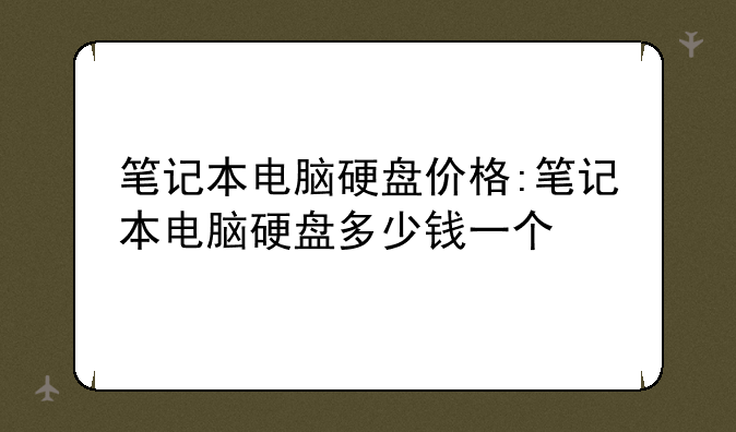 笔记本电脑硬盘价格:笔记本电脑硬盘多少钱一个
