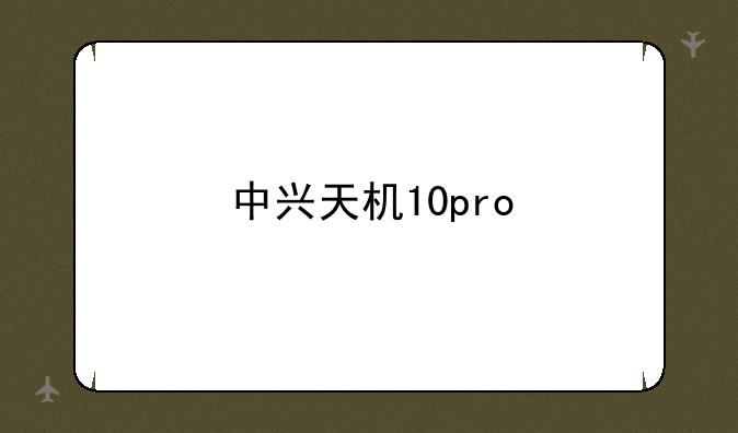 中兴天机10pro