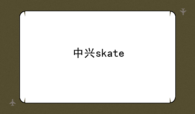 中兴skate