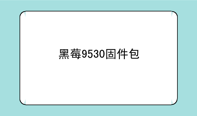 黑莓9530固件包
