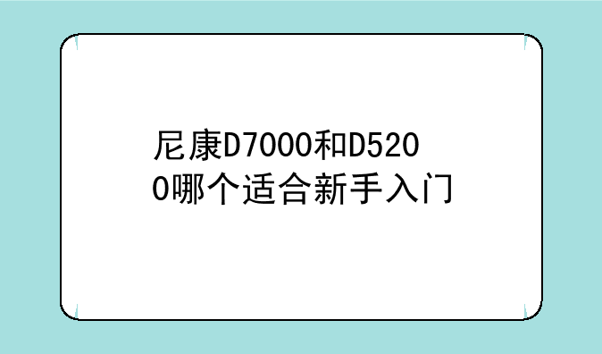 尼康D7000和D5200哪个适合新