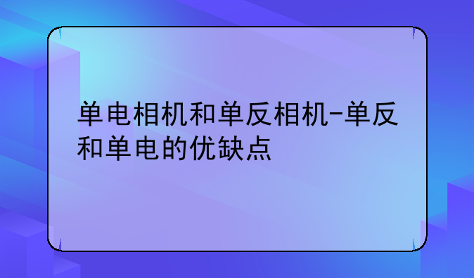 单电相机和单反相机-单反和单电的优缺点