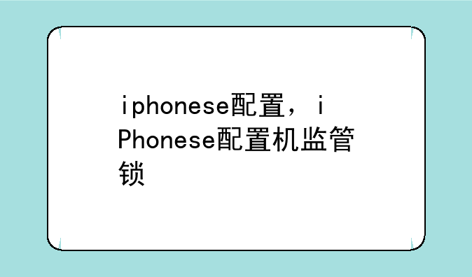 iphonese配置，iPhonese配置机监管锁