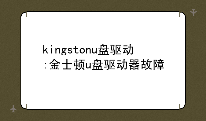 kingstonu盘驱动:金士顿u盘驱